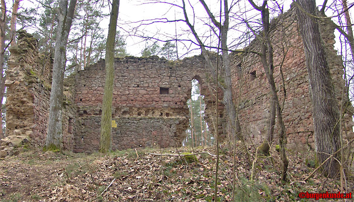 Ruine Kronast / Ober&ouml;sterreich