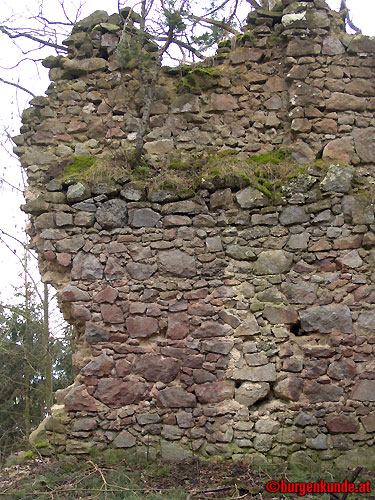 Ruine Kronast / Ober&ouml;sterreich