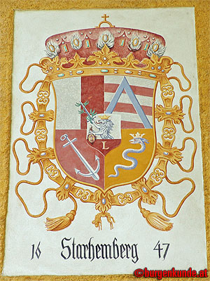 Ruine Waxenberg / Oberösterreich